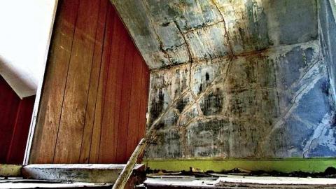 Abandoned Talent - Naked-and-Afraid61.jpg