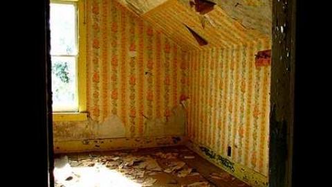 Abandoned Talent - Naked-and-Afraid63.jpg