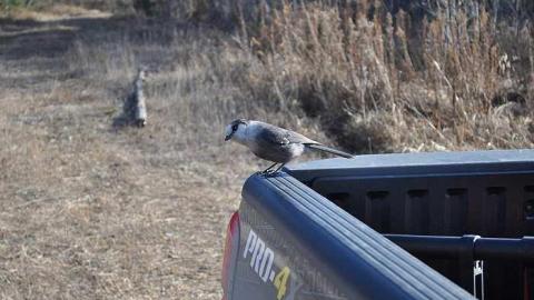 Tashota - Tashota-(ghost-town)12.jpg