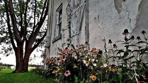 Charming - IMG_3932.jpg