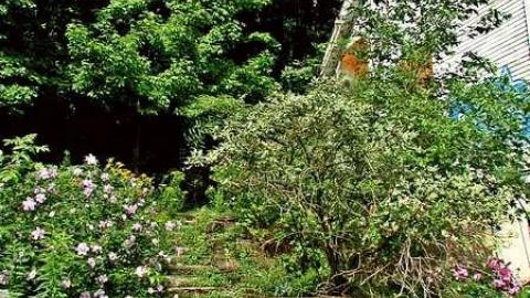 Photo from Hundreds of bolts