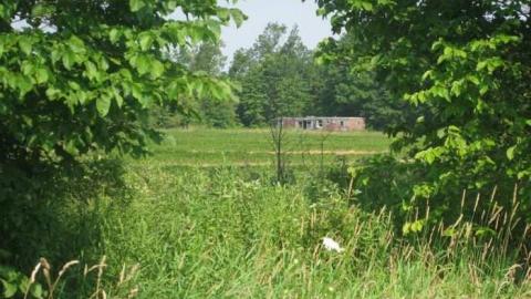 Crowland Trailer - IMG_4814b.jpg