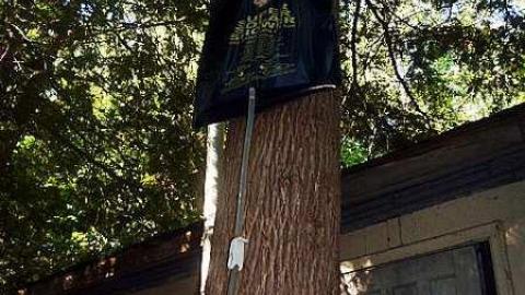 Cottage on Camp Road - P1040482.jpg