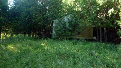 Cottage on Camp Road - P1040491.jpg