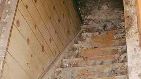 July Visit - 000064390013.jpg