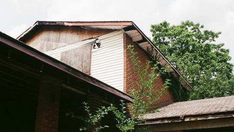 July Visit - u-000064390010.jpg