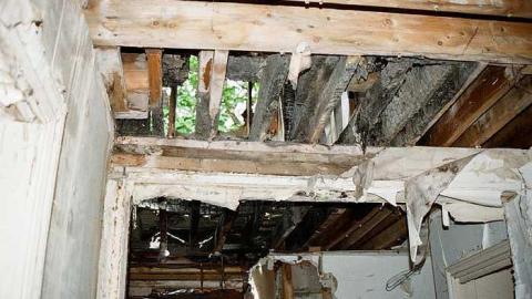 July Visit - t-000064390012.jpg