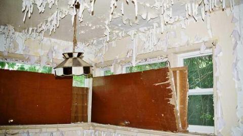 Photo from July Visit