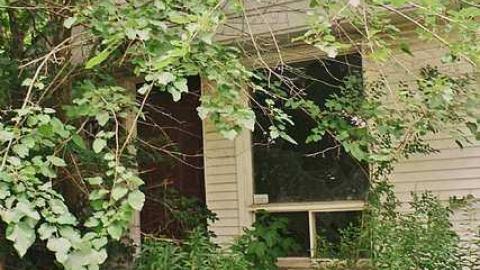 Photo from July Visit