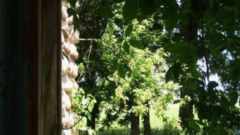 Elmvale Stone House - Tiny, Ontario