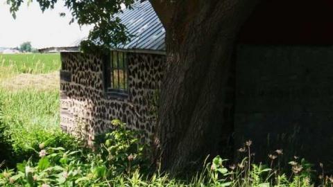 Ghost in the Left Window - Elmvale-Stone-House48.jpg