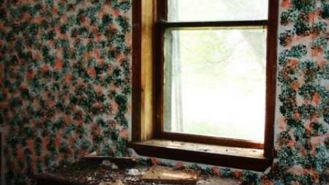 Ghost in the Left Window - Elmvale-Stone-House50.jpg