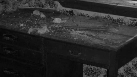 Ghost in the Left Window - Elmvale-Stone-House52.jpg