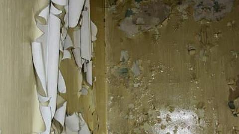 August 2016 - 27Aug-16C 110.jpg