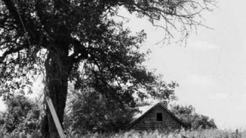 Farm House July 2011 - 15-Line-Farm-House39.jpg