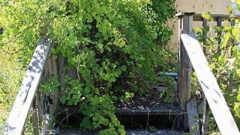 September 2016 - Securty-Failure8.jpg