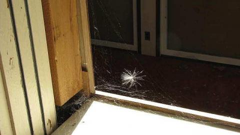 Going to Town - Out-on-the-Town25.jpg