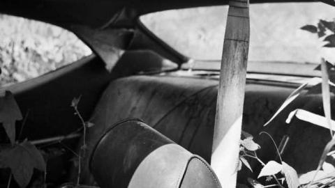 Farm House July 2011 - 15-Line-Farm-House43.jpg