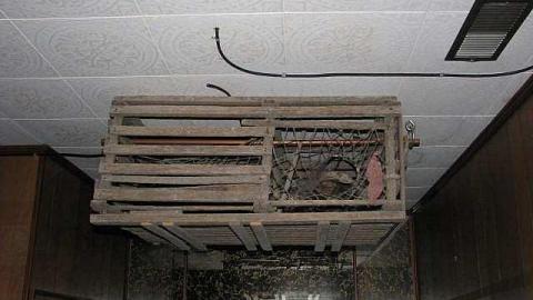 Going to Town - Out-on-the-Town9.jpg