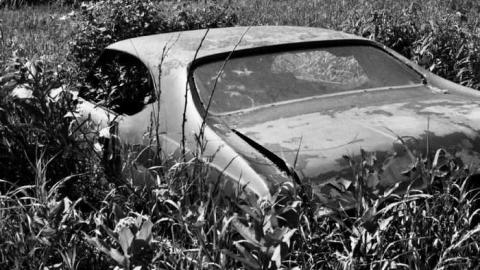 Photo from Farm House July 2011