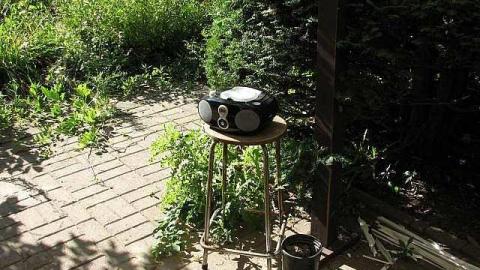 Going to Town - Out-on-the-Town17.jpg