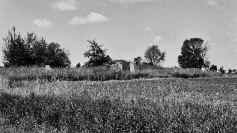 Photo from Farm House July 2011