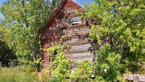 August 2016 - Balaclava-(ghost-town)113.jpg