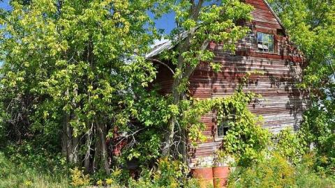 August 2016 - Balaclava-(ghost-town)115.jpg