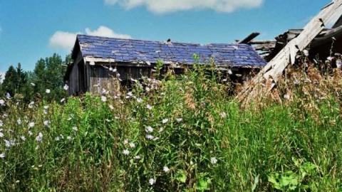 Photo from July 2011