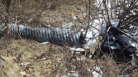 Bait and Tackle - 20160405_131319.jpg