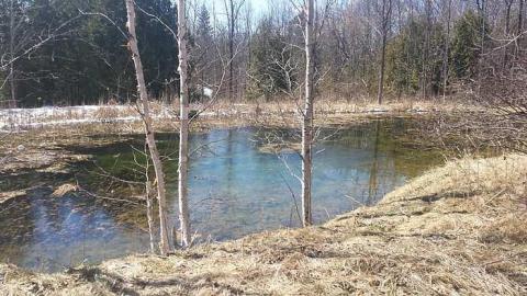 Bait and Tackle - 20160405_131449.jpg