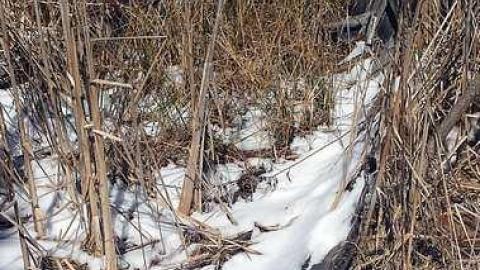 Bait and Tackle - 20160405_131527.jpg