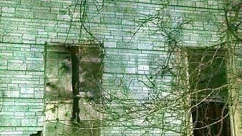 Empty Home - Tiny-Grey30.jpg