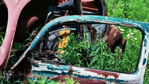 Photo from July 2011