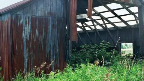 July 2011 - Bowing-House63.jpg