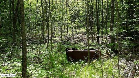 Off the beaten path - Junk-Yard-in-a-Forest5.jpg