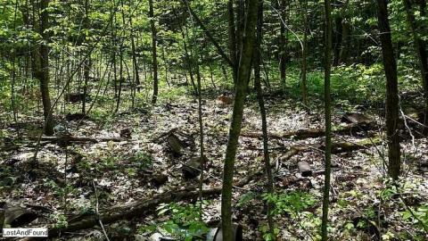 Photo from Off the beaten path