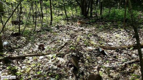 Off the beaten path - Junk-Yard-in-a-Forest8.jpg