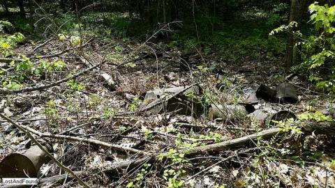 Off the beaten path - Junk-Yard-in-a-Forest1.jpg