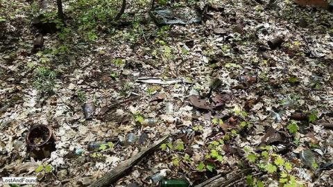 Off the beaten path - Junk-Yard-in-a-Forest2.jpg