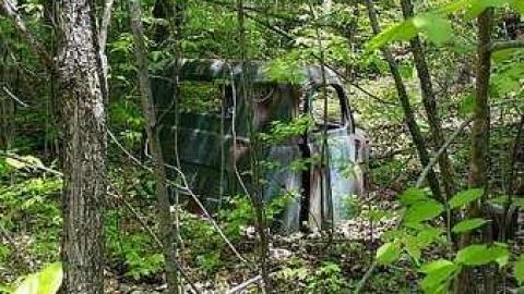 Off the beaten path - Junk-Yard-in-a-Forest12.jpg