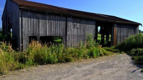 Halls Rd Farm - 2011-07-16, Farm on Halls Rd 012-1.jpg