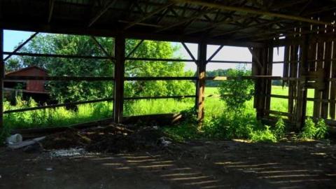 Halls Rd Farm - 2011-07-16, Farm on Halls Rd 016-1.jpg