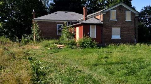 Halls Rd Farm - 2011-07-16, Farm on Halls Rd 021-1.jpg