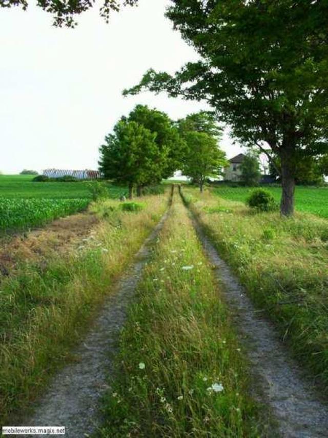 Quonset Guy - Mapleton, Ontario
