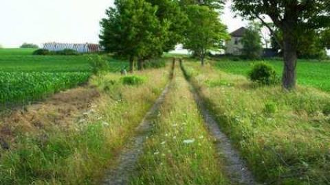 Photo from July 2011