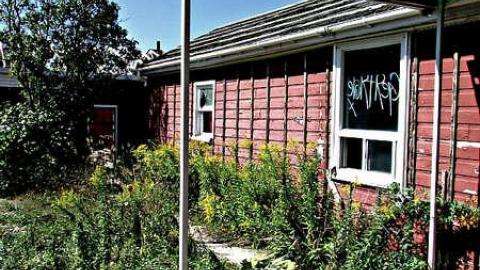 Sept. 2016 - IMG_4112.jpg