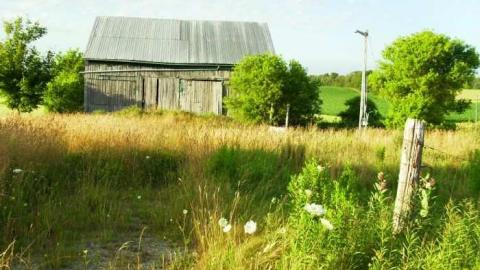 Photo from July 2011