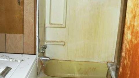 Photo from July 2011