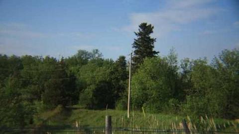 Thompson's Corners - IMG_4876.jpg